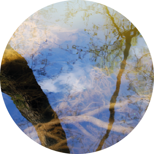 wasser